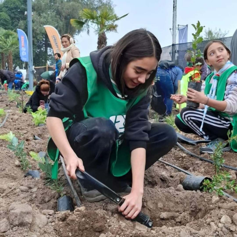 Reforestacion-maipu-scout-flor-de-lis-1