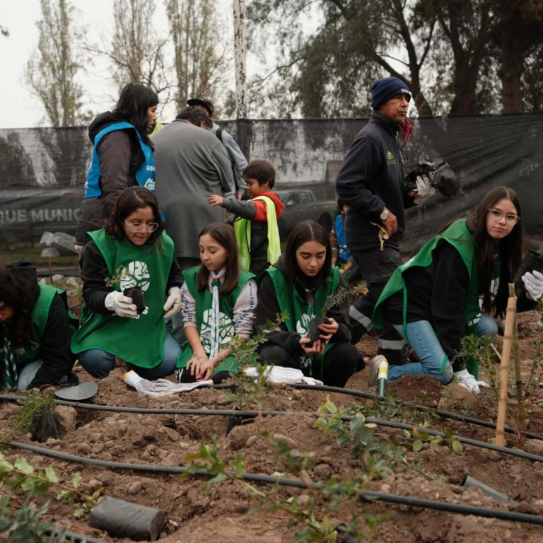 Reforestacion-maipu-scout-flor-de-lis-10