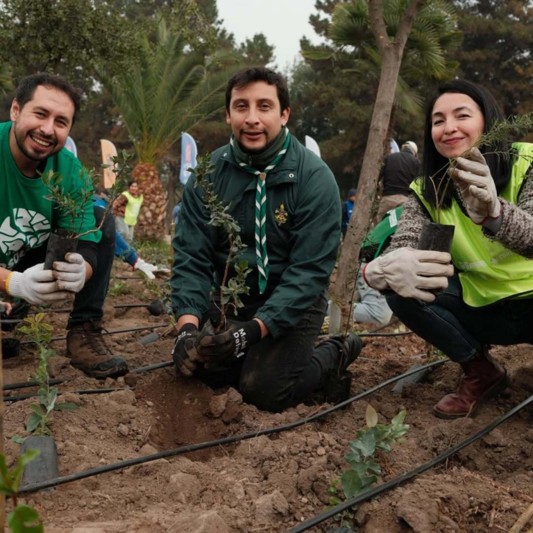 Reforestacion-maipu-scout-flor-de-lis-11