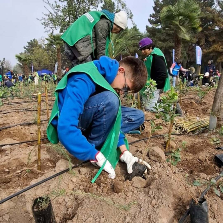 Reforestacion-maipu-scout-flor-de-lis-2