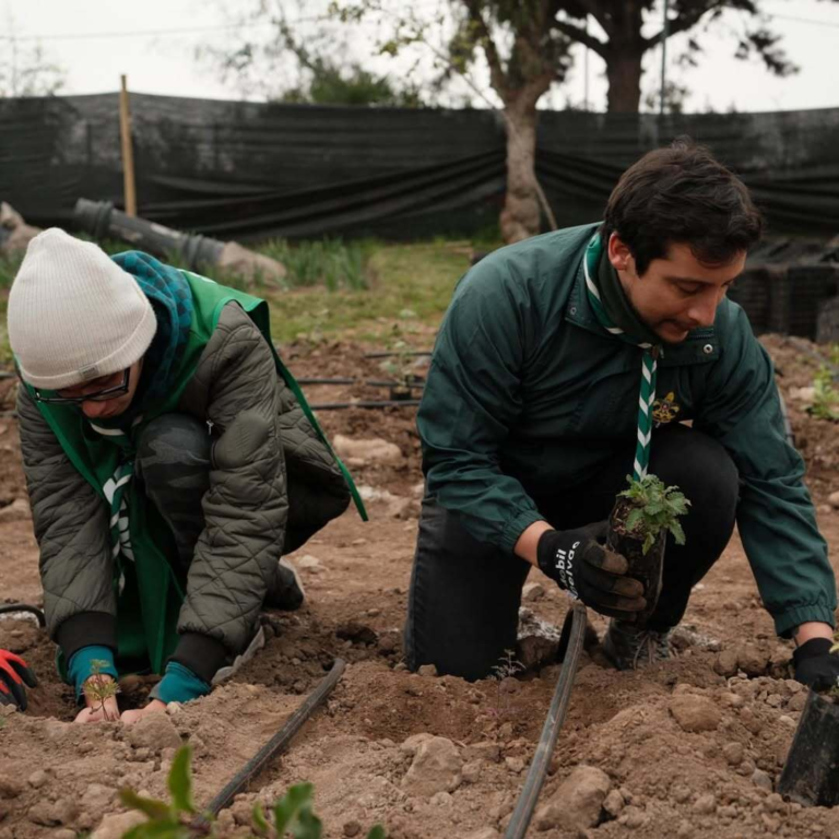 Reforestacion-maipu-scout-flor-de-lis-3