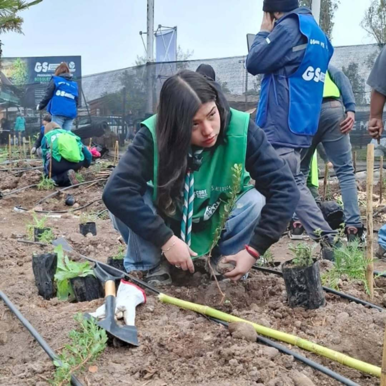 Reforestacion-maipu-scout-flor-de-lis-4