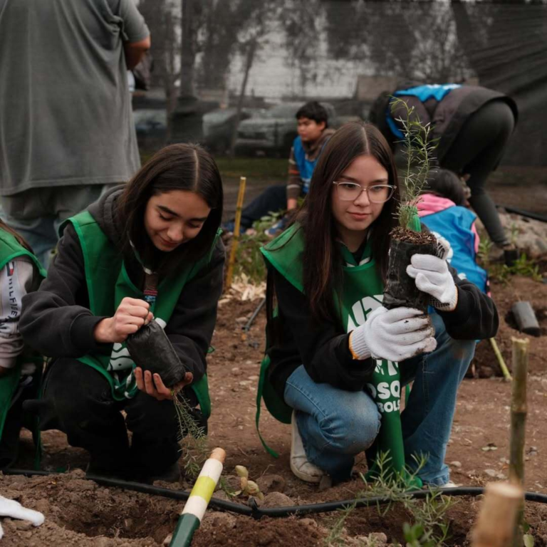 Reforestacion-maipu-scout-flor-de-lis-5