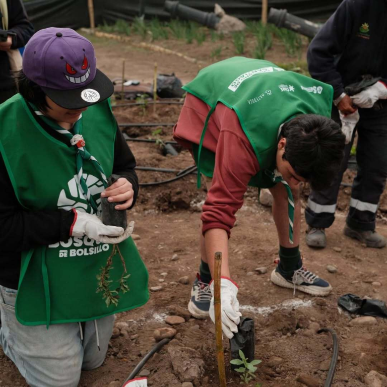 Reforestacion-maipu-scout-flor-de-lis-6