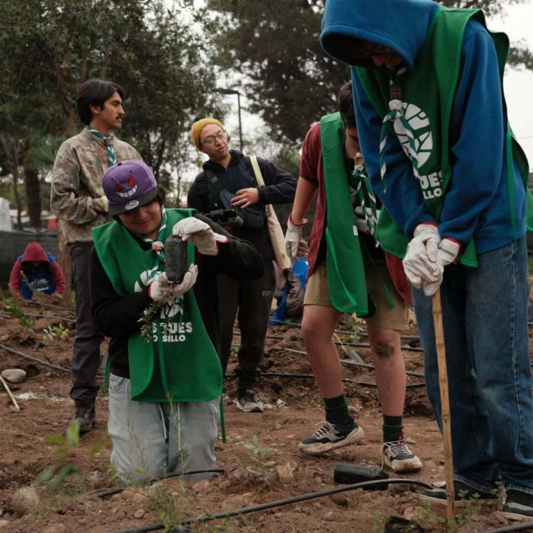 Reforestacion-maipu-scout-flor-de-lis-7