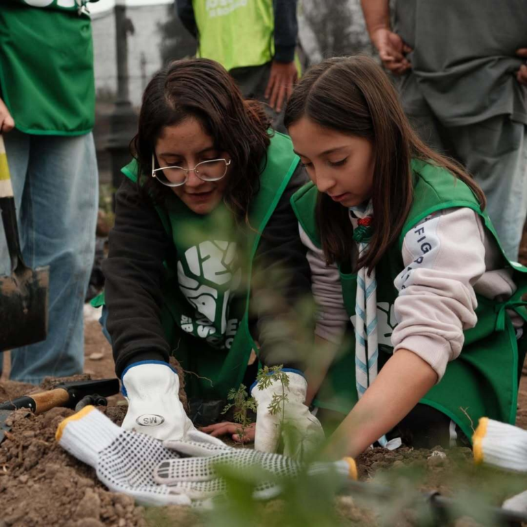 Reforestacion-maipu-scout-flor-de-lis-9